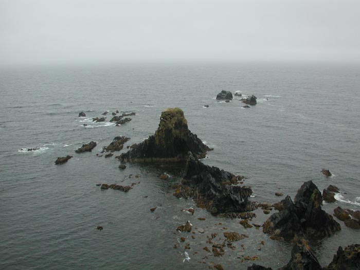 Kodiak Rocks 2.jpg 51.8K